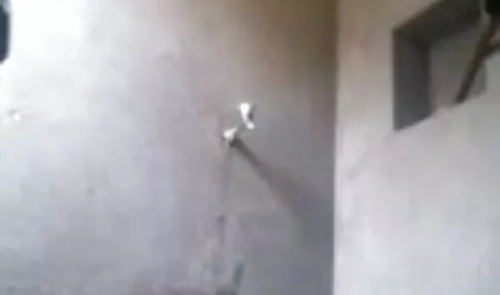 टार्ज़न वापस आ गया है और एक शानदार लड़की के साथ सेक्स मूवी सेक्स पिक्चर कर रहा है