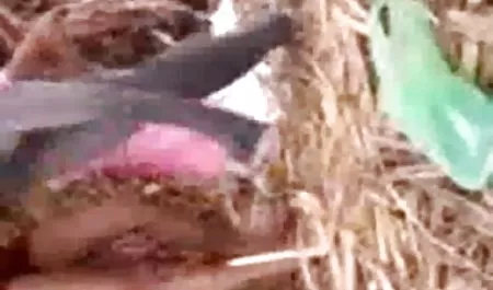 आपको बेलारूस अमेरिकन सेक्सी ब्लू फिल्म की ओर से नमस्कार