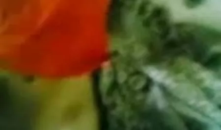 लड़की केवल नंगि फिल्म सेक्सी लाठी से प्यार करती है