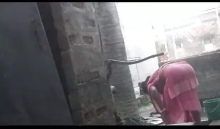 प्रकार और लड़कियों वीडियो सेक्सी वीडियो पिक्चर को अंधाधुंध चोदना