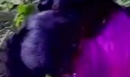 नशे में रूसी मद्रासी सेक्सी पिक्चर वीडियो सेक्स