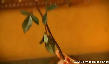 लालच से भगशेफ पर चढ़ गया सेक्सी मद्रासी फिल्म