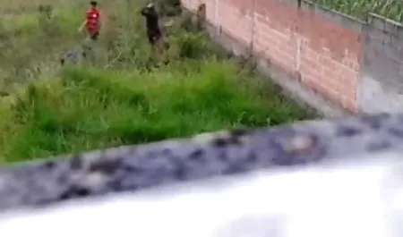 Bi पिक्चर इंग्लिश सेक्सी blowjob